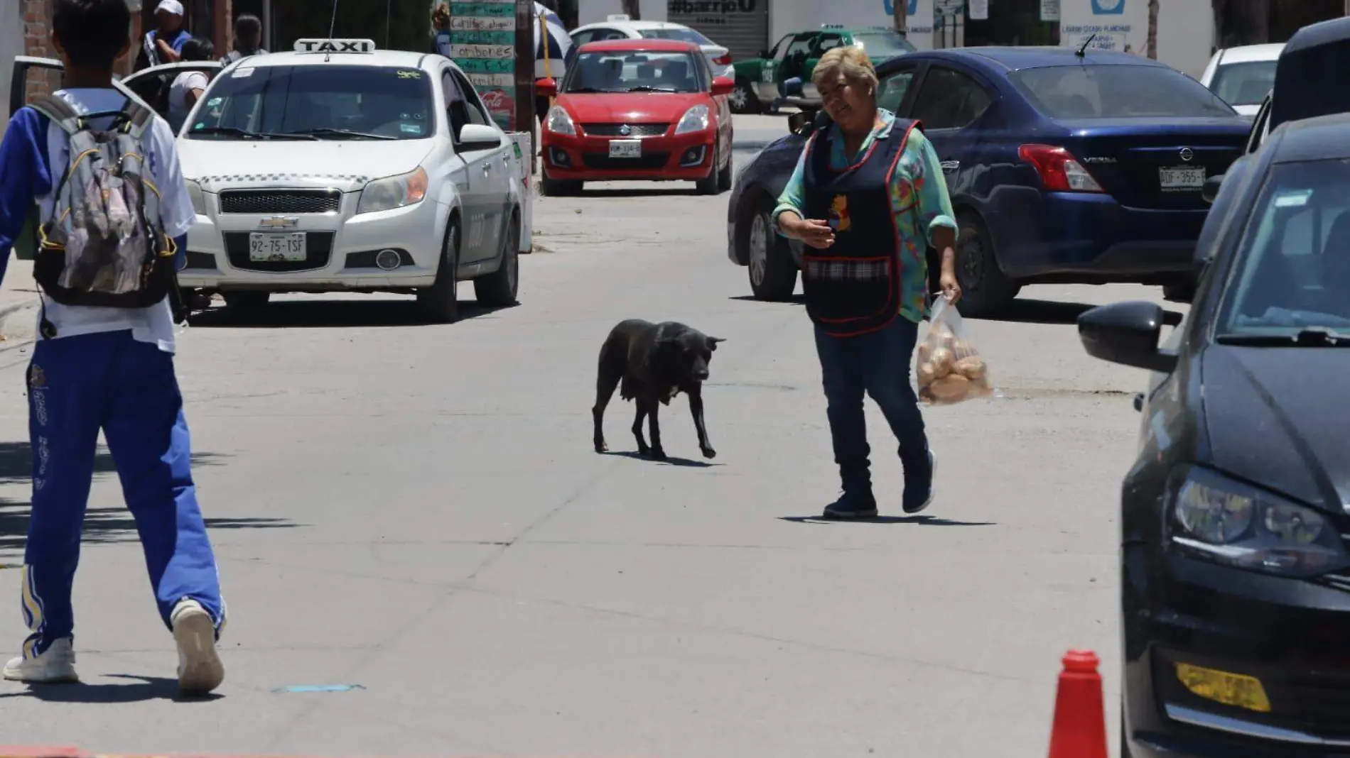 perros atacan a menor en escuela (1)